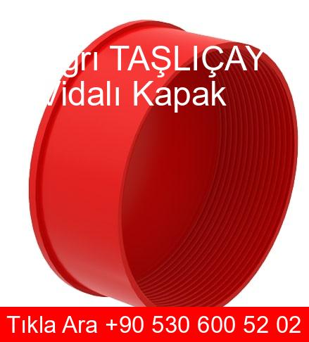 Ağrı