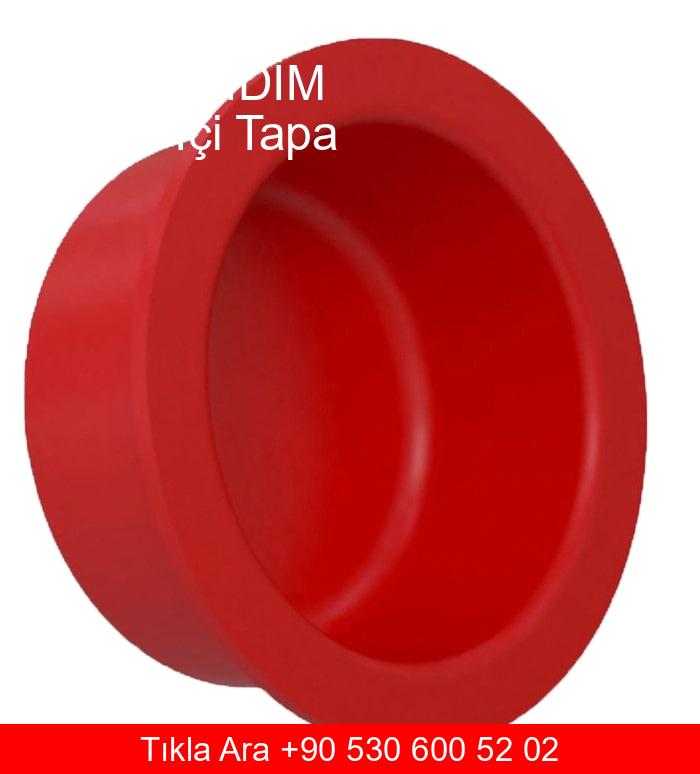 Aydın