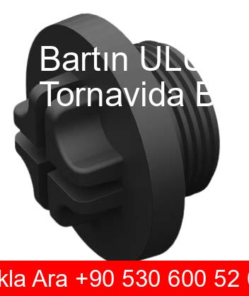 Bartın