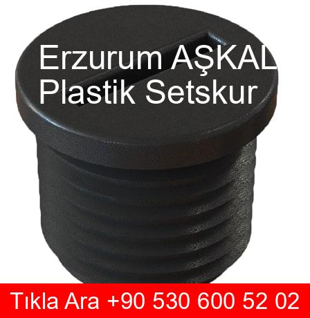 Erzurum