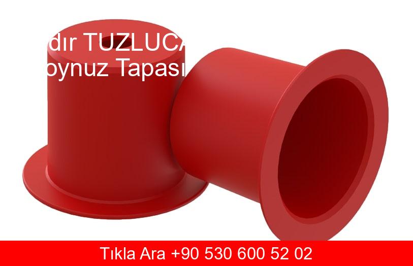 Iğdır