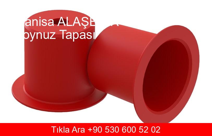 Manisa