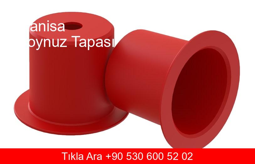 Manisa