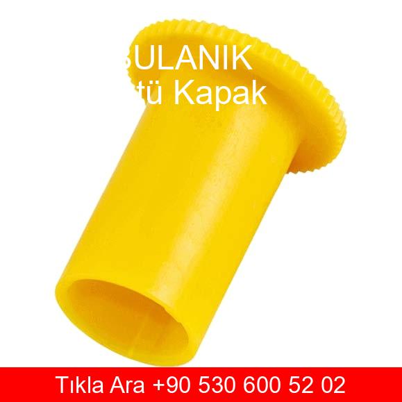 Muş