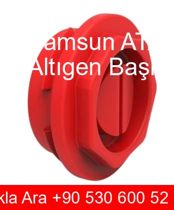 Samsun