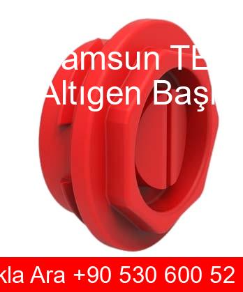 Samsun